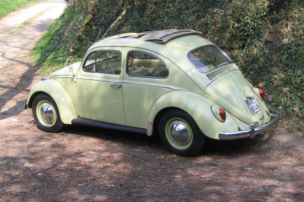 VW Faltdach-Käfer